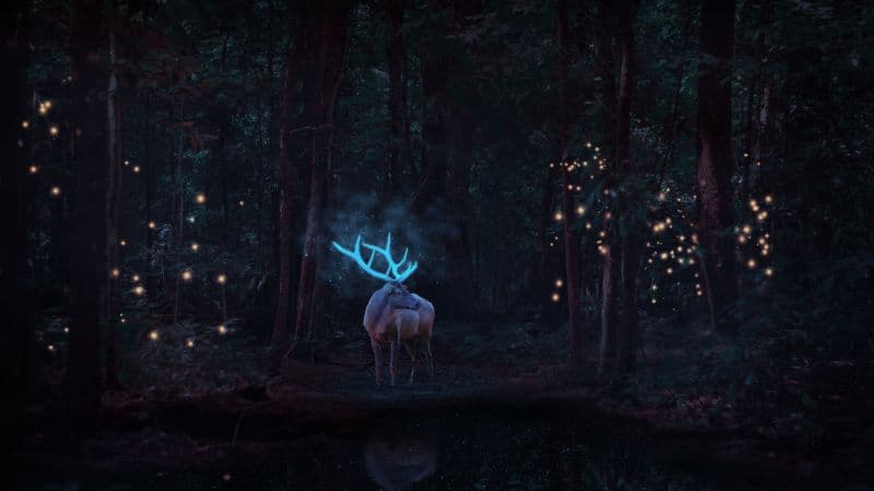 Stag Deer Wallpaper
