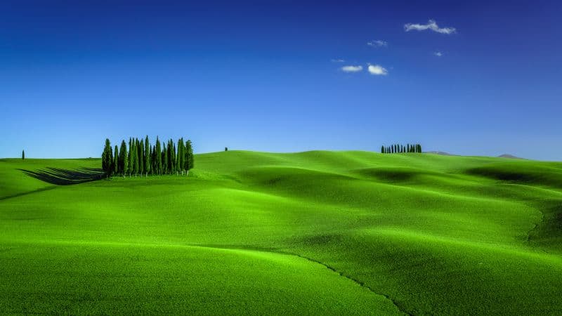 Green Meadow Torrenieri Wallpaper