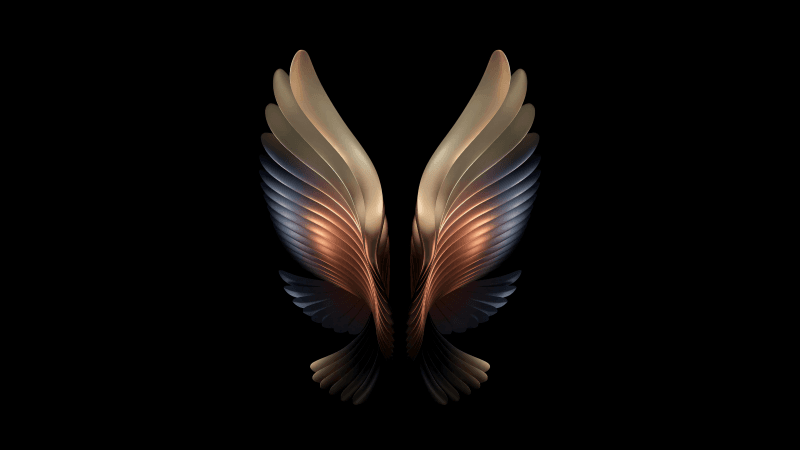 Samsung Galaxy W22 Wings Wallpaper