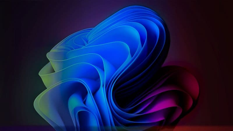 Windows 11 Colorful Bloom Remix Wallpaper