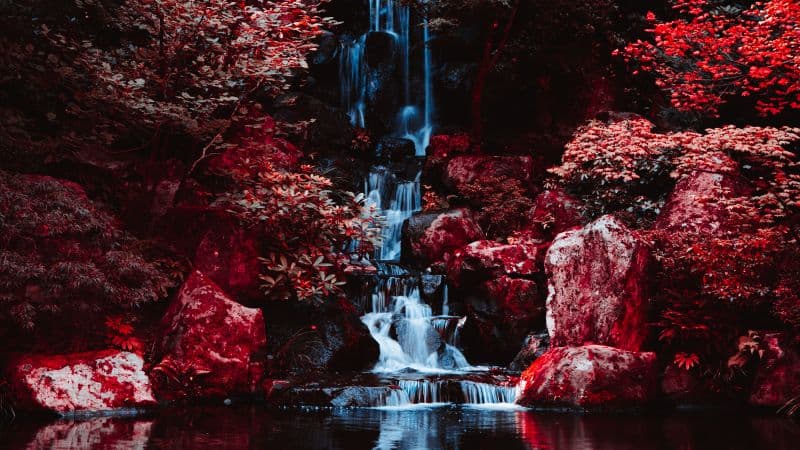 Portland Japanese Gardens Infrared Photography Wallpaper