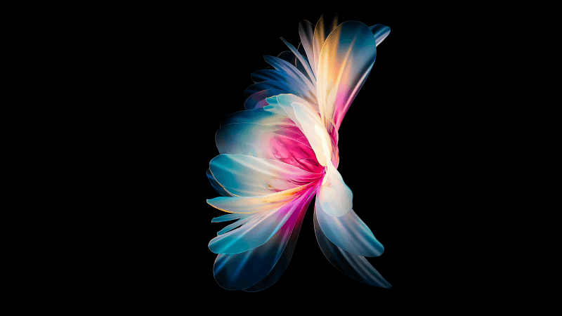 Huawei P50 Pocket AMOLED Wallpaper