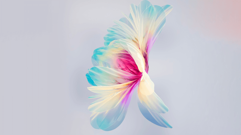 Huawei P50 Pocket Stock Wallpaper