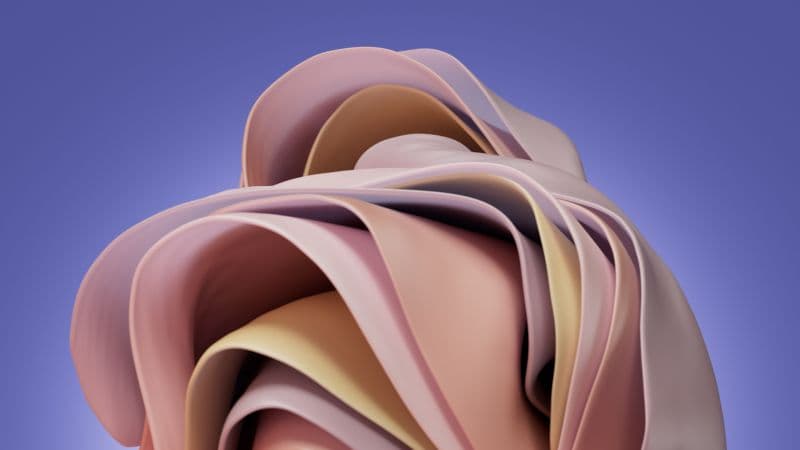 Windows 11 Pantone Pink Wallpaper
