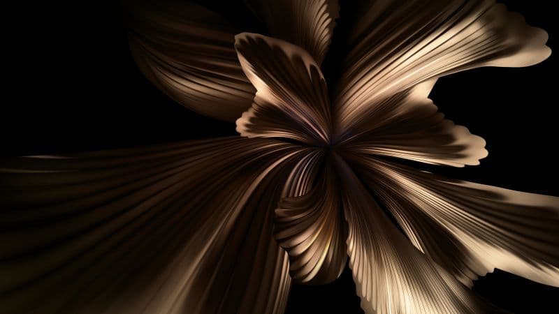 Huawei P50 Pocket Black background Wallpaper