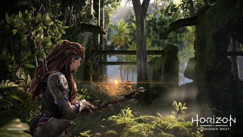 Horizon Forbidden West PlayStation 4 Wallpaper