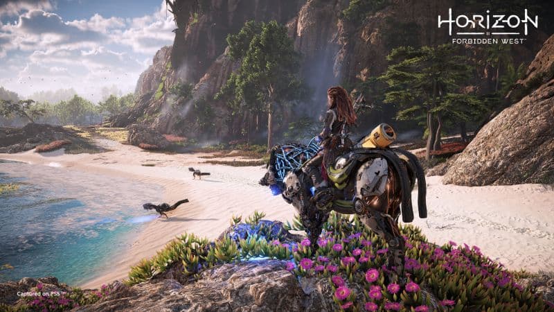 Aloy riding Charger in Horizon Forbidden West Wallpaper