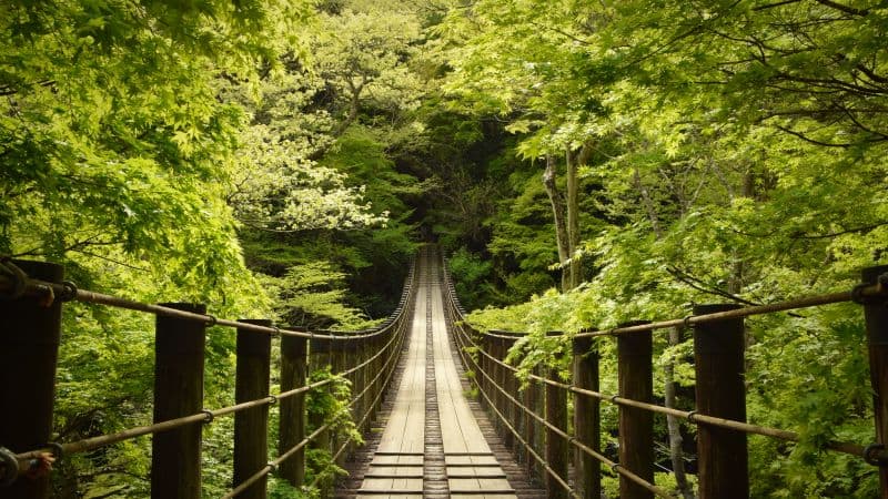Hananuki Gorge Japan Wallpaper