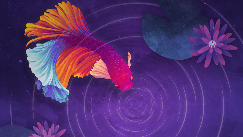 Colorful fish Ripple Wallpaper