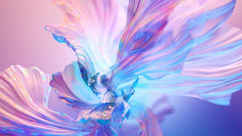 Floral Background Digital Art Wallpaper