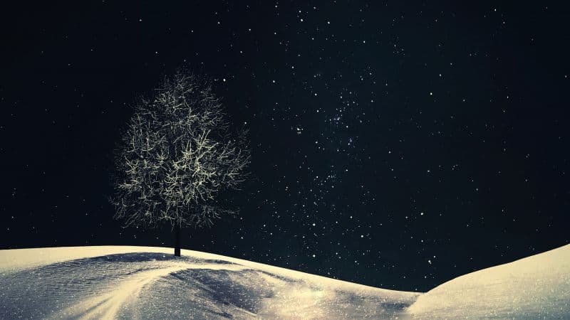Lone tree Crescent Moon Wallpaper