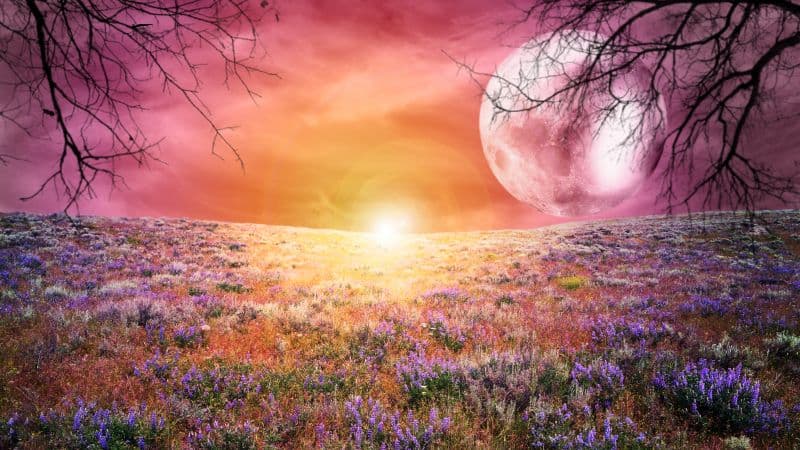 Sunrise Landscape Wallpaper