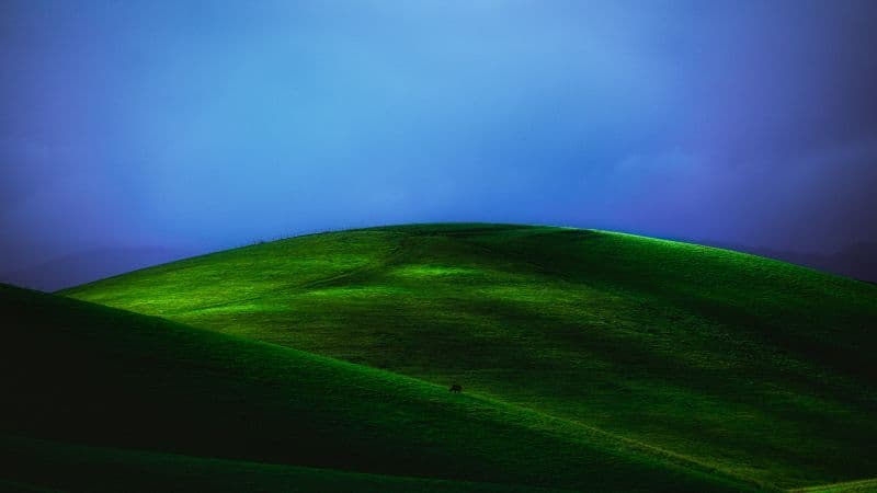 Countryside Green Meadow Wallpaper