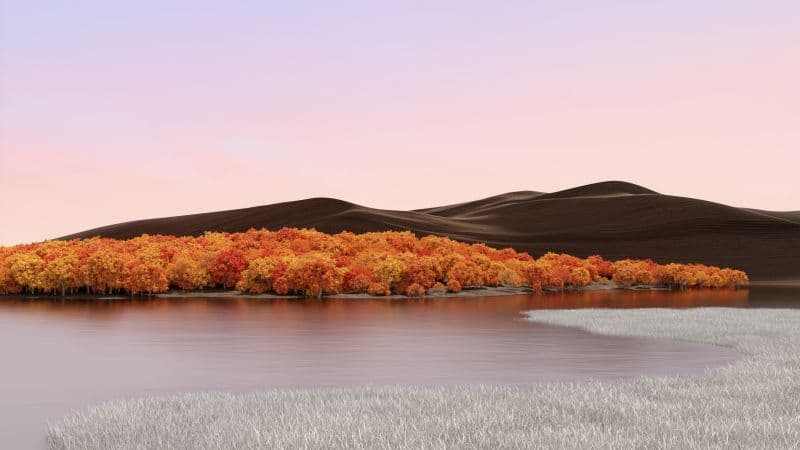 iPad Landscape Wallpaper