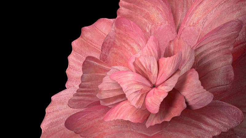 Floral Background Peach background Wallpaper