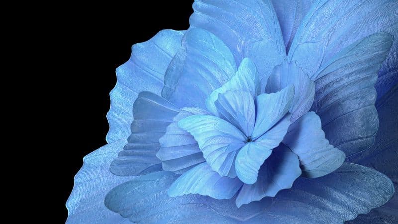 Floral Background Blue background Wallpaper