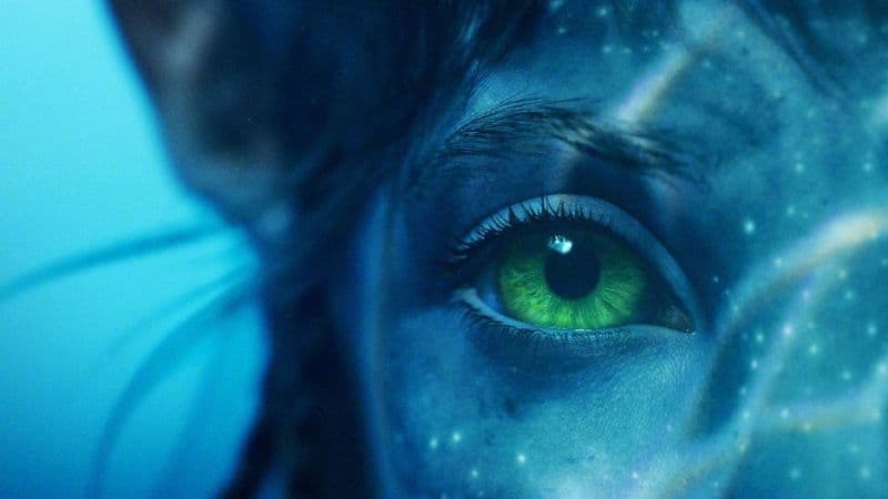 Avatar: The Way of Water Neytiri Wallpaper