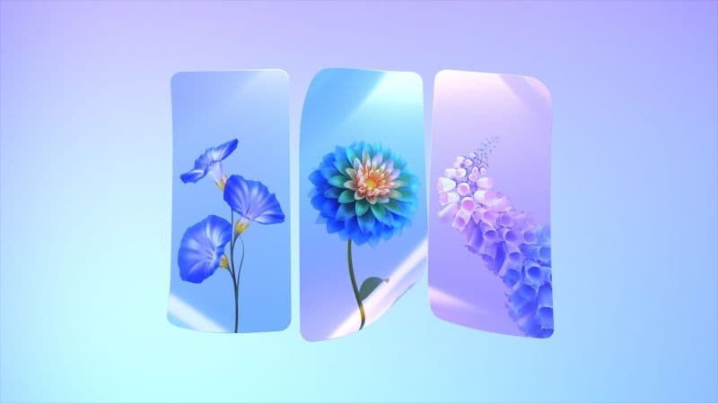 Spring flowers Colorful flowers Wallpaper