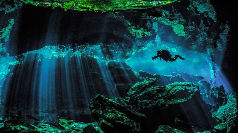 Scuba Diver Underwater Wallpaper