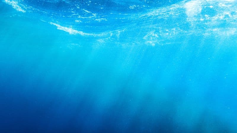 Underwater Sun rays Wallpaper
