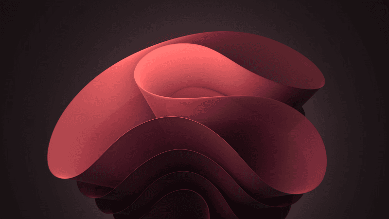 Windows 11 Bloom Red Wallpaper