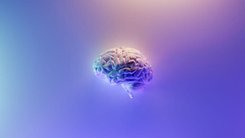 Brain 3D background Wallpaper