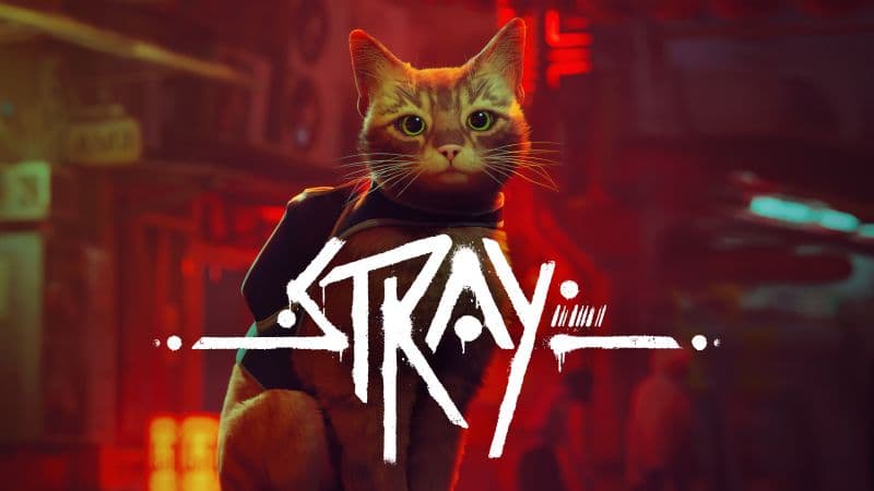 Stray PC Games Wallpaper