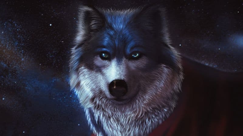 Arctic wolf CGI Wallpaper