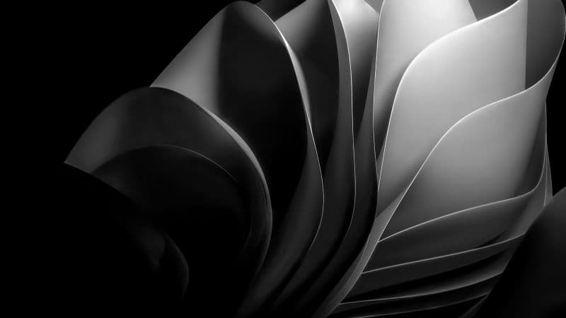 Windows 11 Monochrome Wallpaper
