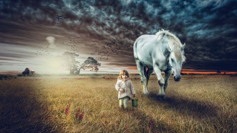Cute Girl Countryside Wallpaper
