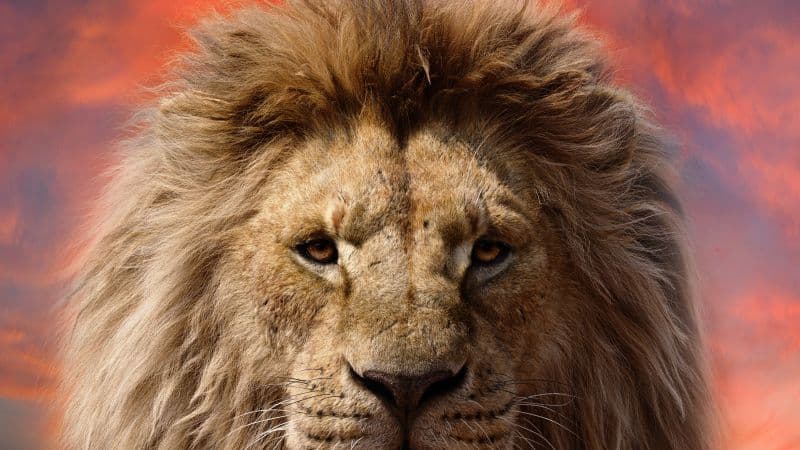 Mufasa: The Lion King iPhone Wallpaper