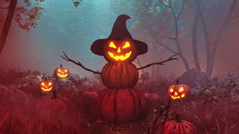 Pumpkin man Pumpkin trail Wallpaper