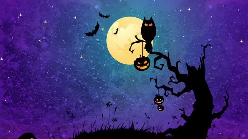 Halloween background Halloween night Wallpaper