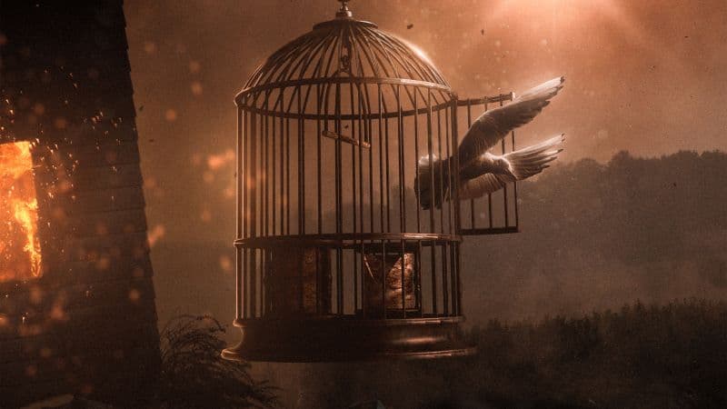Dove Cage Wallpaper