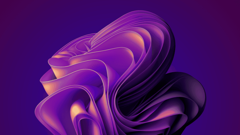 Windows 11 Purple Wallpaper