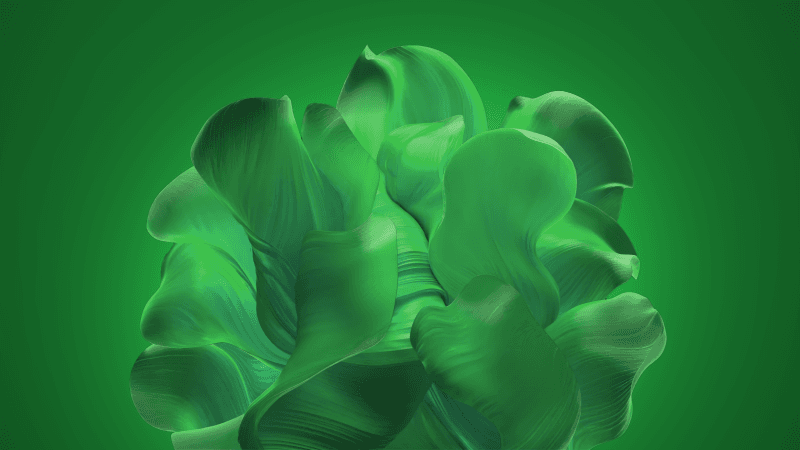 Windows 11 Green background Wallpaper