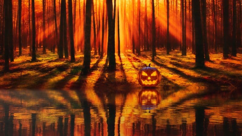 Jack-o'-lantern Halloween Pumpkin Wallpaper