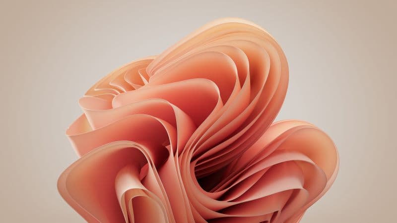 Surface Laptop 5 Pastel orange Wallpaper