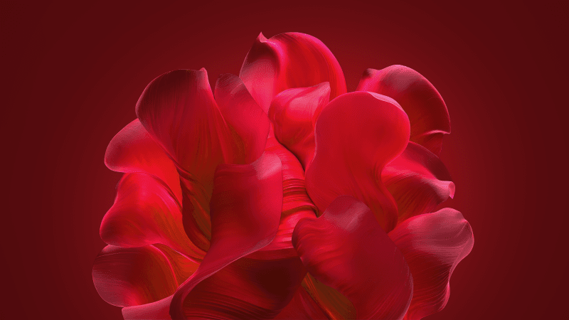 Windows 11 Bloom collection Wallpaper