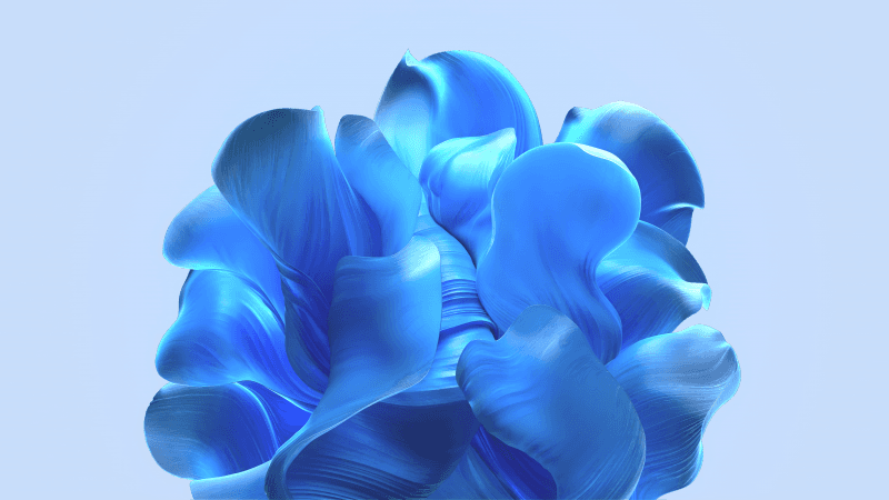 Windows 11 Bloom collection Light Mode Wallpaper