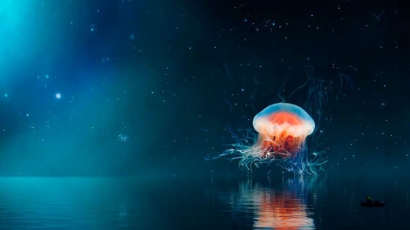 Jellyfish Tentacles Wallpaper
