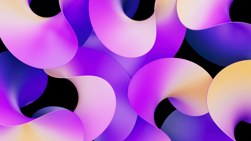 Purple curves Gradient curves Wallpaper