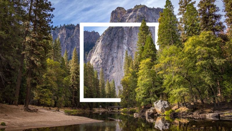 Forest Yosemite National Park Wallpaper
