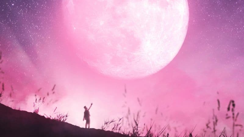 Moon Dream Wallpaper