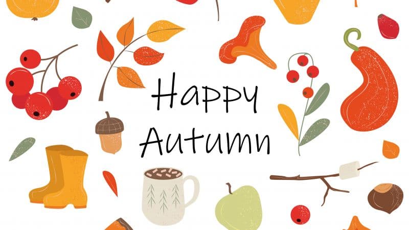 Happy Autumn Autumn background Wallpaper