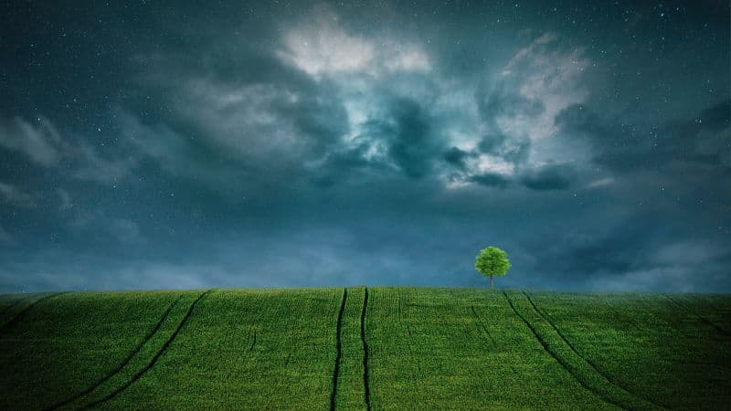 Landscape Lone tree Wallpaper