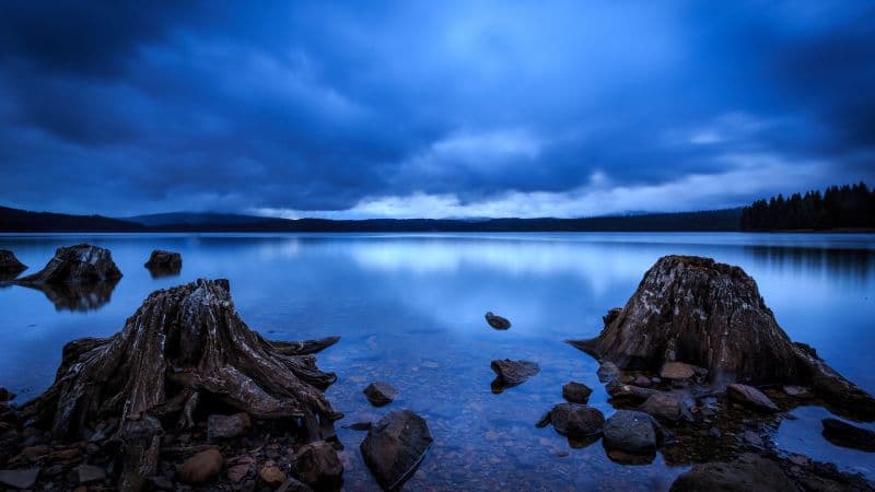 Timothy Lake Oregon Wallpaper