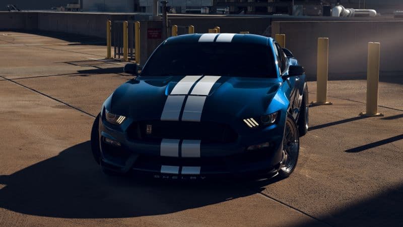 Ford Mustang Shelby GT350 Muscle cars Wallpaper