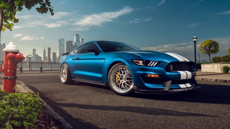 Ford Mustang Shelby GT350 8K Wallpaper